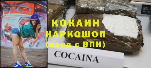 кокс Алексин