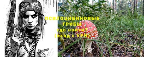 кокс Алексин